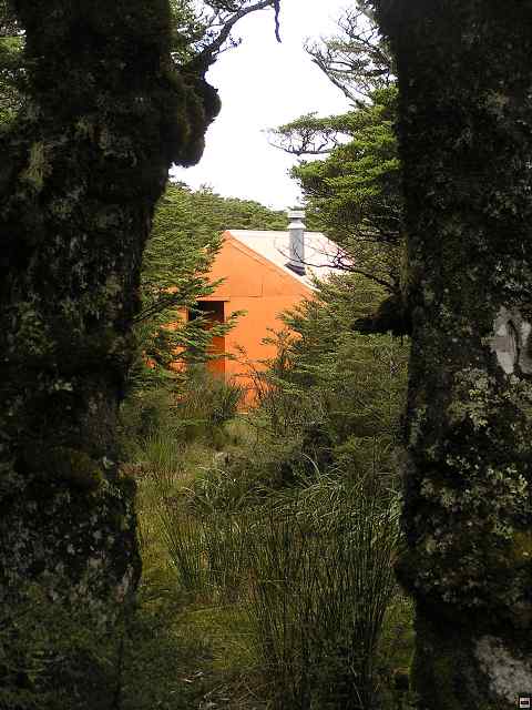 NZ leden-unor 2006 195.jpg